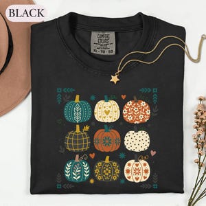 Pumpkin Harvest Season Tee, Seasonal Pumpkin Vibes Shirt, Thanksgiving Tee, Fall Lover Gift