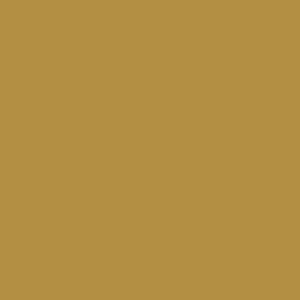May include: Solid mustard-colored background. The image is a single, uniform color, a warm, earthy tone. The color is consistent throughout the entire frame, providing a simple, uncluttered visual.