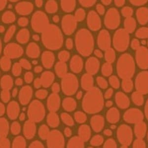 Pop Sugar by Heather Bailey | Skipping Stones in Persimmon | Figo Fabrics