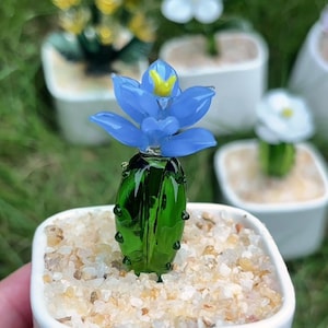 Puede incluir: Una escultura de cactus de vidrio hecha a mano con una flor azul y centro amarillo, colocada en una pequeña maceta cuadrada blanca llena de arena. El cactus verde tiene pequeños detalles negros. Otras flores de vidrio están en el fondo.