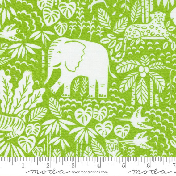 Jungle Paradise - The Jungle Scene in Seedling Jungle Paradise - The Jungle Scene in Seedling