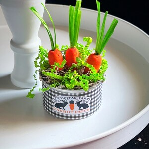 May include: A small black and white checkered tin can with a label that reads "Cottontail Farms Carrot Patch". The can is filled with green grass and three orange carrots with green tops.