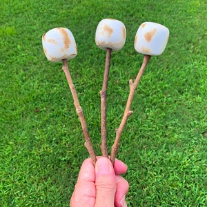 Fake Toasted Marshmallows S’mores Tiered Tray Decor