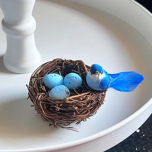 Bluebird Nest for Tier Tray