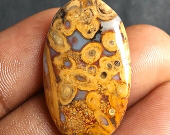 26 quilates de palma natural roja y amarilla, raíz de palma, cabujón de ágata de raíz amarilla, piedra preciosa suelta pulida para joyería artesanal, diseño de cabujón