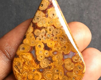 Cabujón de ágata de raíz de palma amarilla de 56 quilates: piedra preciosa natural suelta para colgantes, anillos, joyería, manualidades, bricolaje, patrón fósil único, suministro de piedra.