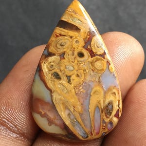 28 Cts. Natural Red & Yellow Palm Root Agate Cabochon Gemstone Fossil Pattern Loose Stone for Jewelry Making Healing Crystal  Stone  Supply.