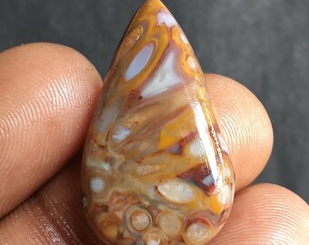 24 quilates. Fósil de palma amarillo natural, cabujón de ágata fósil de raíz de palma, piedra preciosa suelta amarilla pulida para joyería artesanal.