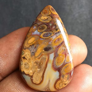 May include: A teardrop-shaped gemstone with a polished surface. The stone features a pattern of concentric circles and swirls in shades of yellow, brown, and cream, with hints of red and blue. The gemstone is held in a hand.