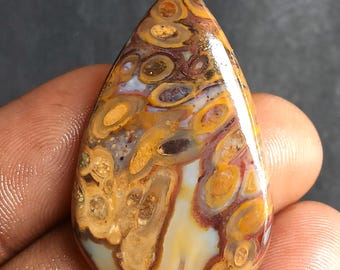 42 quilates de cabujón de ágata natural amarilla con forma de raíz de palma, piedra suelta con patrón fósil para la fabricación de joyas, cristal curativo y suministro de piedras.