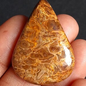 May include: A teardrop-shaped gemstone with a polished surface. The stone features a swirling pattern of brown, tan, and orange hues. The gemstone is held in a person's hand, showcasing its size and shape. The stone's unique pattern resembles wood grain.