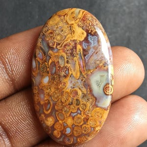52 Cts. Yellow Palm Root Agate Cabochon – Natural Loose Gemstone for Pendant Ring Jewelry DIY Craft Unique Fossil Pattern Stone  Supply.