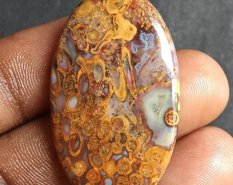 Cabujón de ágata de raíz de palma amarilla de 52 quilates: piedra preciosa natural suelta para colgantes, anillos, joyería, manualidades, bricolaje, patrón fósil único, suministro de piedra.