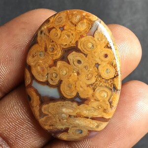 May include: An oval-shaped gemstone with a unique pattern of concentric circles in shades of brown and tan. The polished surface of the stone has a glossy finish, and the overall appearance is reminiscent of a natural, organic design. The gemstone is held in a hand.