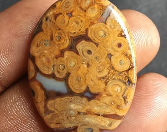 41 quilates de cabujón de ágata natural amarilla con forma de raíz de palma, piedra suelta con patrón fósil para la fabricación de joyas, cristal curativo y suministro de piedras.