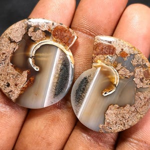 Könnte beinhalten: Zwei polierte Ammoniten-Fossilscheiben mit einer spiralförmigen Kammerstruktur. Die Fossilien zeigen eine Mischung aus durchscheinendem grauem Achat, undurchsichtiger brauner Matrix und dunklen Mineraleinschlüssen in den geschwungenen Segmenten.