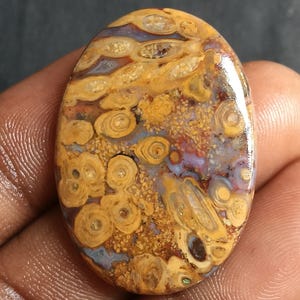 45 Cts. Yellow Palm Root Agate Cabochon – Natural Loose Gemstone for Pendant Ring Jewelry DIY Craft Unique Fossil Pattern Stone  Supply.