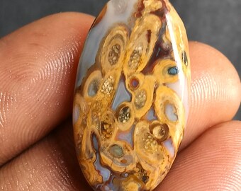 26 quilates. Fósil de palma amarillo natural, cabujón de ágata fósil de raíz de palma, piedra preciosa suelta amarilla pulida para joyería artesanal.