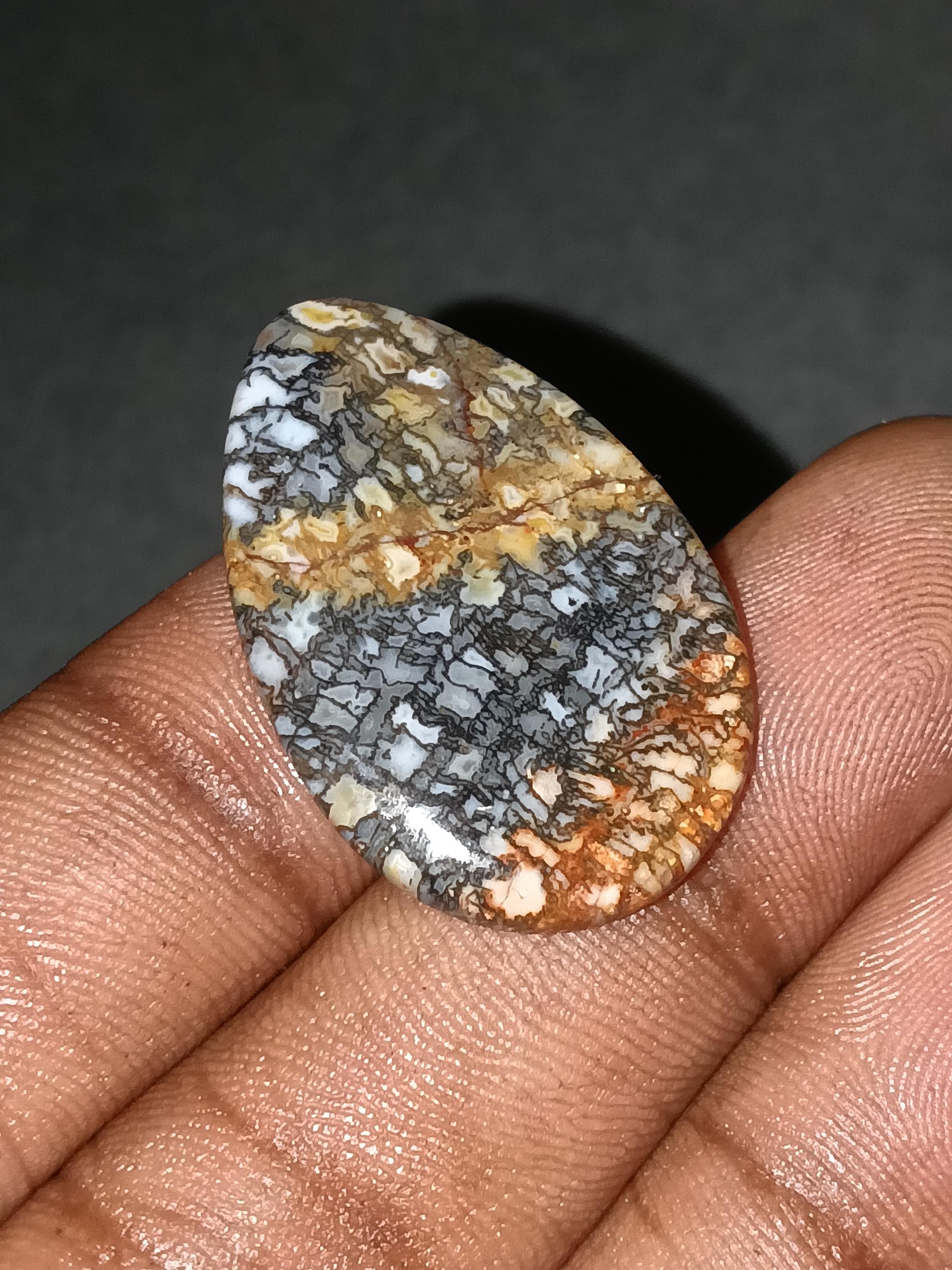 20カラットの恐竜の骨 - 赤と黄色の化石恐竜の骨のカボション