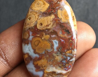 49 quilates. Cabujón de ágata natural roja y amarilla con forma de raíz de palma, piedra suelta con patrón fósil para la fabricación de joyas, suministros de cristales curativos.