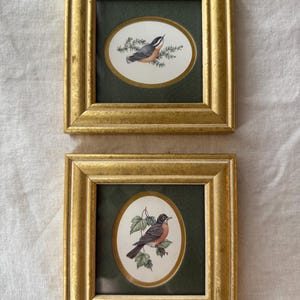 Set of Feathered Friends Framed Bird Prints