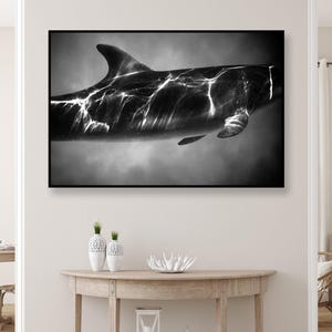 Dolphin Photography Print: Black and White Ocean Wall Art