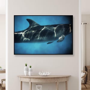 Large Dolphin Wall Art – Underwater Photography Print, Ocean Wildlife Décor by Mindia Midelashvili