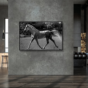 Black and White Horse Wall Art | Elegant Equine Photography Print | Minimalist Animal Decor