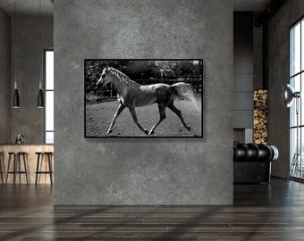 Czarno-biały obraz ścienny z koniem | Elegancki wydruk fotograficzny z koniem | Minimalistyczny wystrój ze zwierzętami