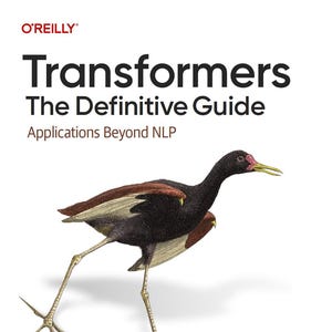 May include: A book cover with the title "Transformers: The Definitive Guide" and the subtitle "Applications Beyond NLP." The cover features a detailed illustration of a bird with long legs and a black, brown, and white color scheme. The author's name is at the bottom.