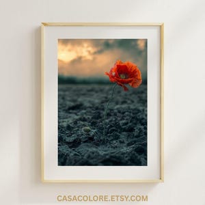 Poppy Printable Wall Art Clipart | Red Flower Botanical Illustration Digital Download | Floral image for Crafts, Cards, and Decor