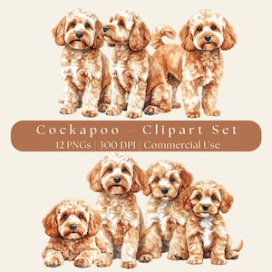 May include: Watercolor clipart set featuring nine Cockapoo dogs in various poses. The dogs have fluffy, curly fur in shades of brown and cream. The text "Cockapoo - Clipart Set" is displayed on a brown banner.