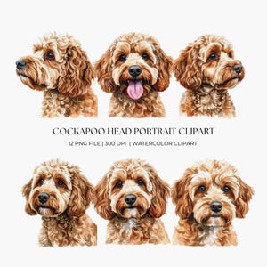 Pode incluir: Clipart em aquarela com seis retratos de cabeça de Cockapoo. Os cães têm pelos encaracolados castanhos claros e olhos expressivos. O texto "COCKAPOO HEAD PORTRAIT CLIPART" é exibido abaixo das imagens, juntamente com outros detalhes.