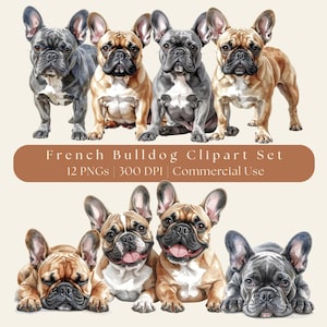 Puede incluir: Conjunto de imágenes prediseñadas de acuarela con varios Bulldogs franceses en varias poses y colores, incluyendo gris, marrón y beige. La imagen incluye el texto "French Bulldog Clipart Set" y "12 PNGs | 300 DPI | Commercial Use."