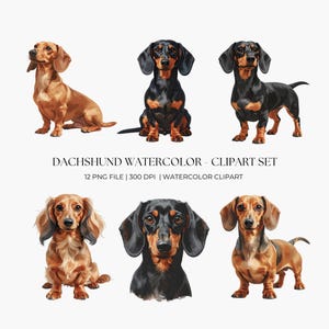 Aquarel clipartset teckel – 12 png-illustraties worsthond