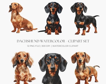 Dachshund Watercolor Clipart Set – 12 PNG Sausage Dog Illustrations