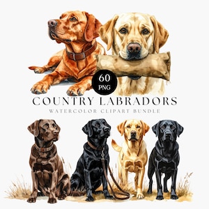 May include: A watercolour clipart bundle showcasing six Labrador retrievers. The dogs are depicted in brown, black, and yellow hues. The text "COUNTRY LABRADORS WATERCOLOR CLIPART BUNDLE" is displayed beneath the dogs.