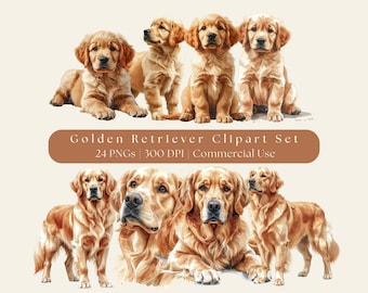 Golden Retriever Clipart Set | (24 PNGs)