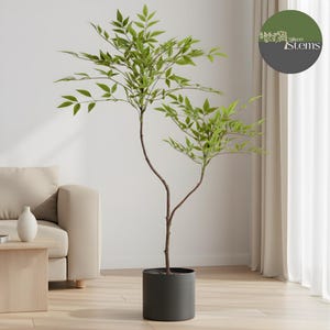 May include: A tall, artificial plant with vibrant green leaves and slender brown stems. The plant is potted in a sleek, dark gray cylindrical container. The background includes a neutral-toned sofa, a small table, and a window with sheer curtains. The logo "Silken Stems" is visible.