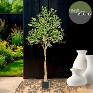 Artificial Faux Black Olive Tree. Shady Lady Tree Garden Ornament