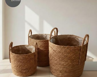Rattan Basket Planter | Eco Friendly Seagrass Plant Holder | Pot Belly Storage for Room Decor & House Decor