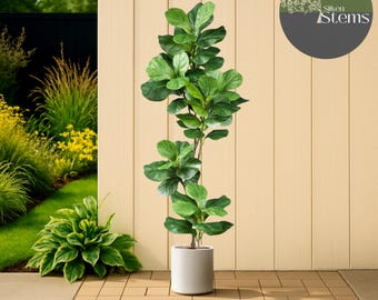 Artificial Fiddle Leaf Fig Plant: 70cm/103cm Home & Garden Ornament