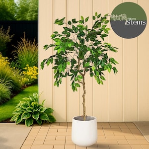 May include: A faux ficus tree in a white ceramic pot. The tree features a slender, brown trunk and bright green leaves. The pot is round and sits on a tiled surface, with a backdrop of a wooden wall and verdant foliage. The Silken Stems logo is in the top right corner.