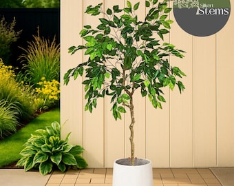 Künstliche Ficus Pflanze banyanbaum. 170 cm Gefälschte Grüne Blätter Faux Brasilholz Blätter Garten Ornament