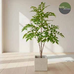 May include: An artificial green plant with slender brown stems and pointed leaves, potted in a square, light grey concrete-style planter. A circular logo in the upper right corner features the text Silken Stems with a small tree graphic.