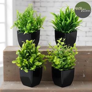 Puede incluir: Cuatro plantas artificiales en macetas cuadradas negras. Las plantas tienen follaje verde brillante, con diversas texturas y formas. Las macetas están dispuestas sobre una superficie de madera, con una pared de ladrillo blanco al fondo. Se ve el logo de "Silken Stems".