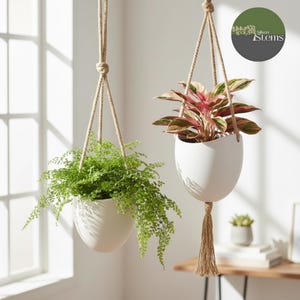 May include: Two hanging planters with lush greenery. Each white, egg-shaped planter is suspended by a natural rope. One contains vibrant green ferns, the other features a plant with pink and green leaves. A tassel hangs from one.