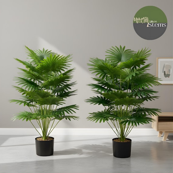 indoor plant moisture meter PlantDoc Moisture Meter - Mini Monstera