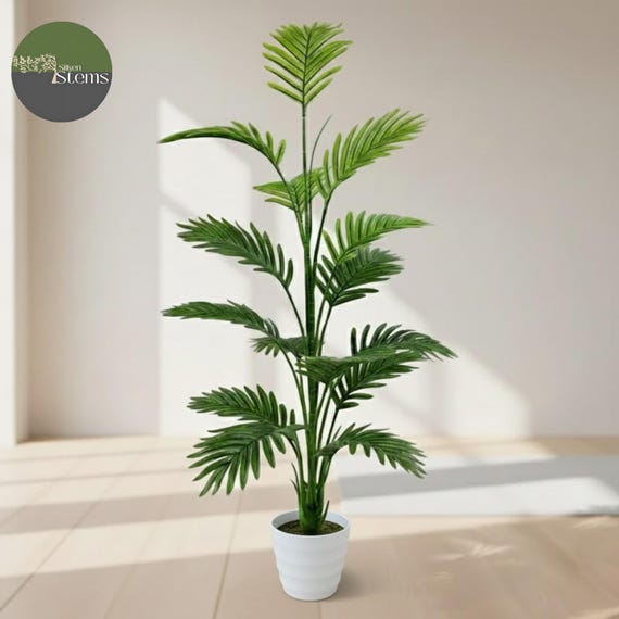 pedatum philodendron Philodendron pedatum Print