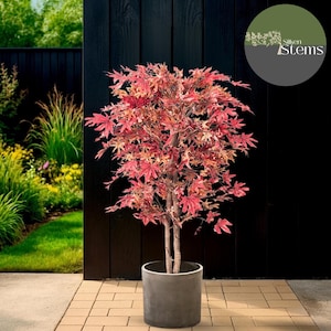 May include: A potted artificial Japanese maple tree with vibrant red and orange leaves. The tree is in a grey cylindrical pot and stands against a black wooden fence. The image includes the text "Silken Stems".